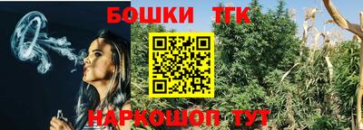 Альфа ПВП Будённовск