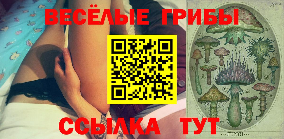 Псилоцибиновые грибы Cubensis Алапаевск